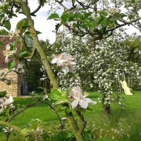 House La Fleuriere Orgeres (Orne)